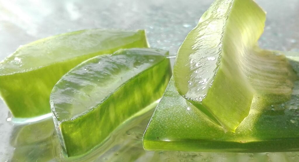 ऐलोवेरा के चमत्कारी फायदे! Benefits of Alovera