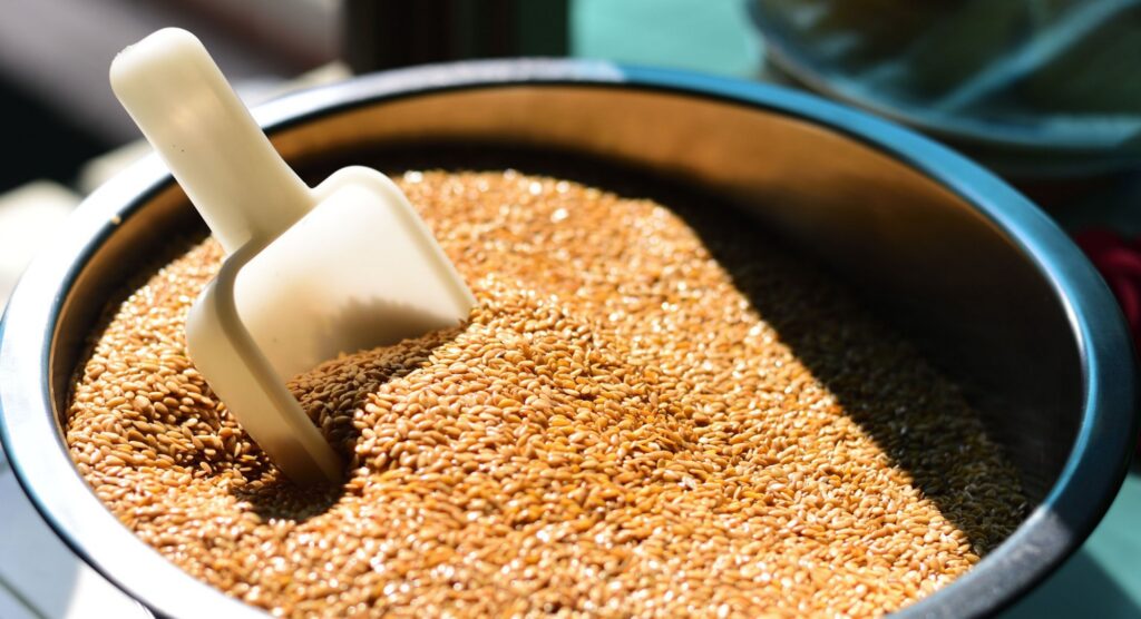 अलसी खाने के अद्भुत फायदे। Benefits of Flaxseed